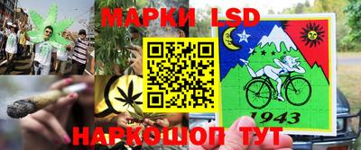 мдпв Нальчик
