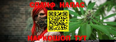 мдпв Нальчик