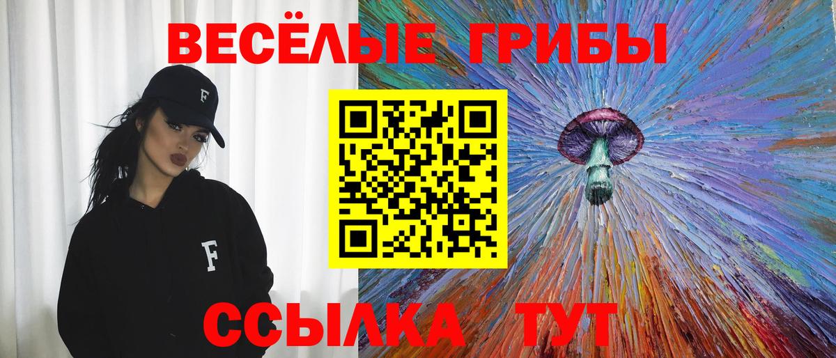 купить закладку  Галлюциногенные грибы прущие грибы  Вход с VPN  Сокол 